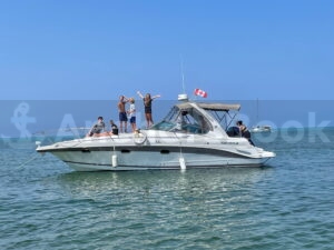 Toronto Boat Rental and Yacht Charter | AnchorsBook.com