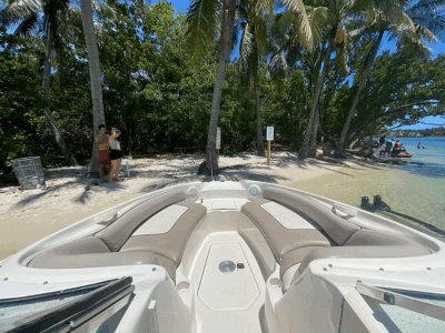 Miami Sandbar & Skyline Cruise Aboard a 26ft Sea Ray Sundeck