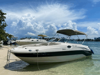 Miami Sandbar & Skyline Cruise Aboard a 26ft Sea Ray Sundeck