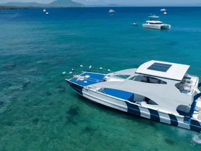 Party Catamaran from Sosúa: Snorkel Adventure & Open Bar Fun