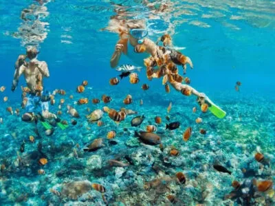Exclusive 8-Hour Bahamas Island Escape on a 29ft Renegade
