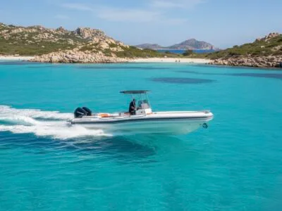 4 hours Dolphin watching tour on our fast and comfortable boat from Olbia Marina, Moys - Private Group Rental