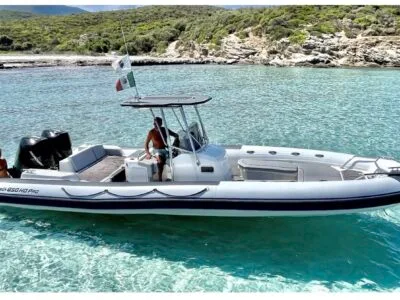 4 hours Dolphin watching tour on our fast and comfortable boat from Olbia Marina, Moys - Private Group Rental