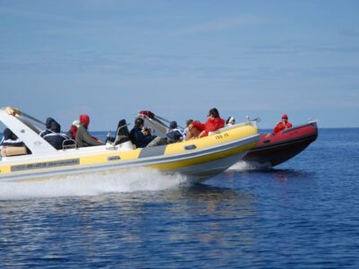 Hvar: Baracuda 23ft Private RIB Charter – 150HP Private Island Cruiser