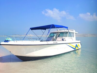 Private Dolphin Sightseeing Tour in Abu Dhabi | Gulf Craft Cruiser Experience