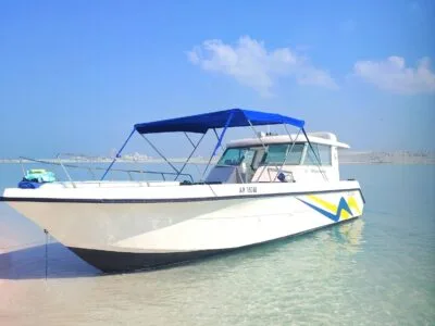 Private Dolphin Sightseeing Tour in Abu Dhabi | Gulf Craft Cruiser Experience