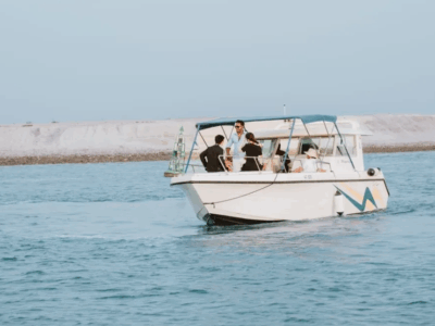 Private Dolphin Sightseeing Tour in Abu Dhabi | Gulf Craft Cruiser Experience