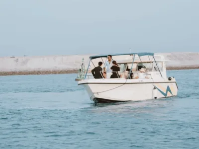 Private Dolphin Sightseeing Tour in Abu Dhabi | Gulf Craft Cruiser Experience