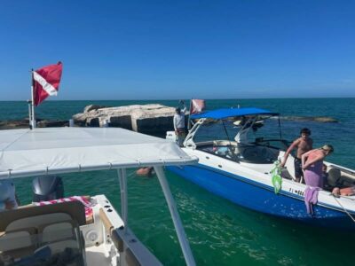 Shell Key & Dolphin Adventure Boat Tour in Gulfport