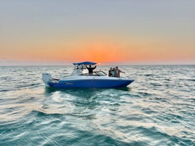 Shell Key & Dolphin Adventure Boat Tour in Gulfport